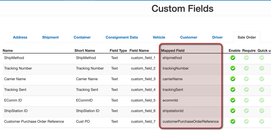 Custom Fields in the API