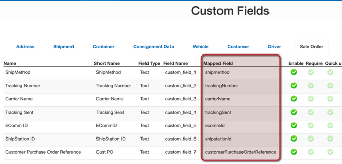 custom-fields-in-the-api-1