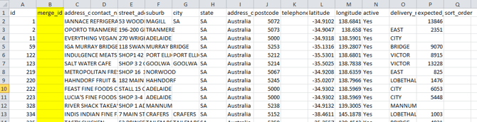 how-to-merge-addresses-in-bulk-0